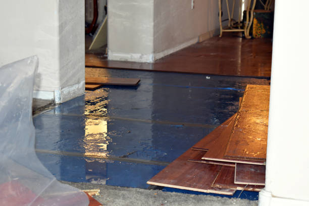 Professional Burst Pipe Cleanup technician working in Gaines, MI