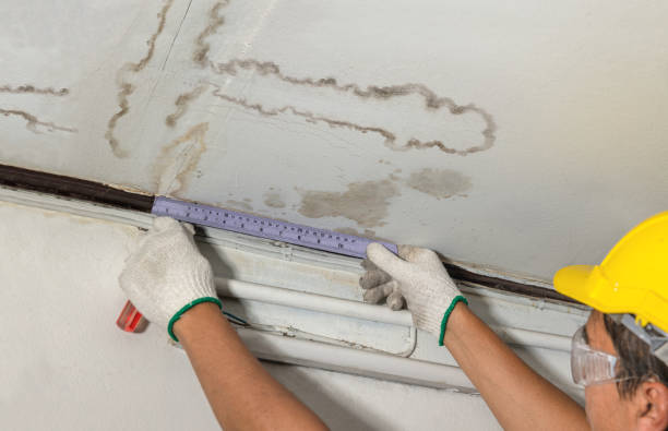 Reliable Burst Pipe Cleanup contractor in Gaines, MI by Local Water Damage Repair
